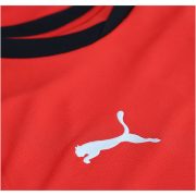 Men's Replica Puma Austria Home Jersey 2026 - Image 5