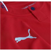 Men's Replica Puma Czech Republic Home Jersey 2026 - Image 5