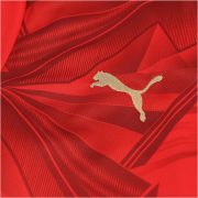 Men's Replica Puma Egypt Home Jersey 2026 - Image 3