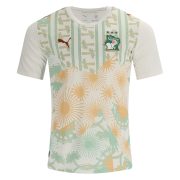 Men's Replica Puma Ivory Coast Away Jersey 2026